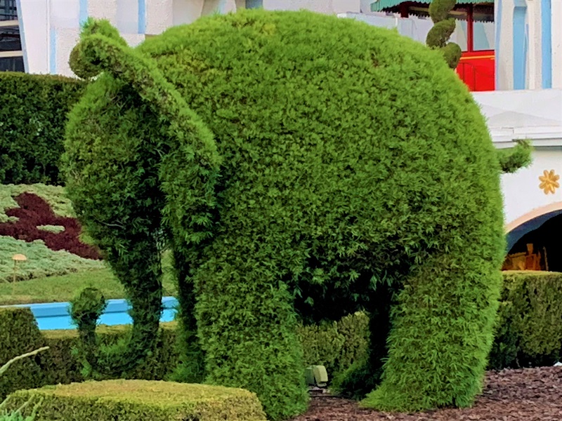 Ein Elefant in Grün
