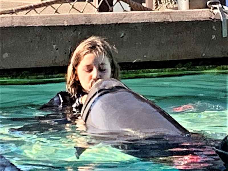 Delfin küssen