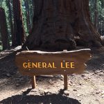 General Lee 1