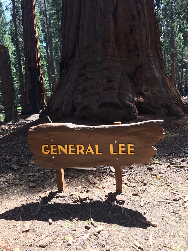 General Lee 1
